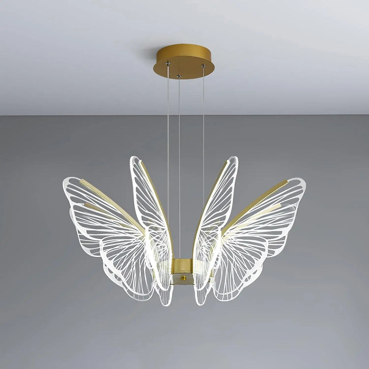 Phalaenopsis Chandelier