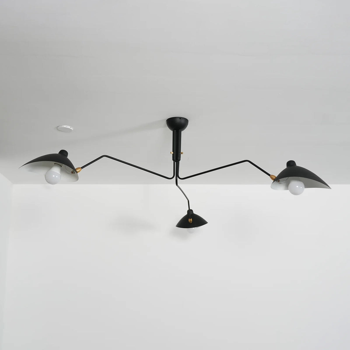 Serge Rotating Arm Ceiling light