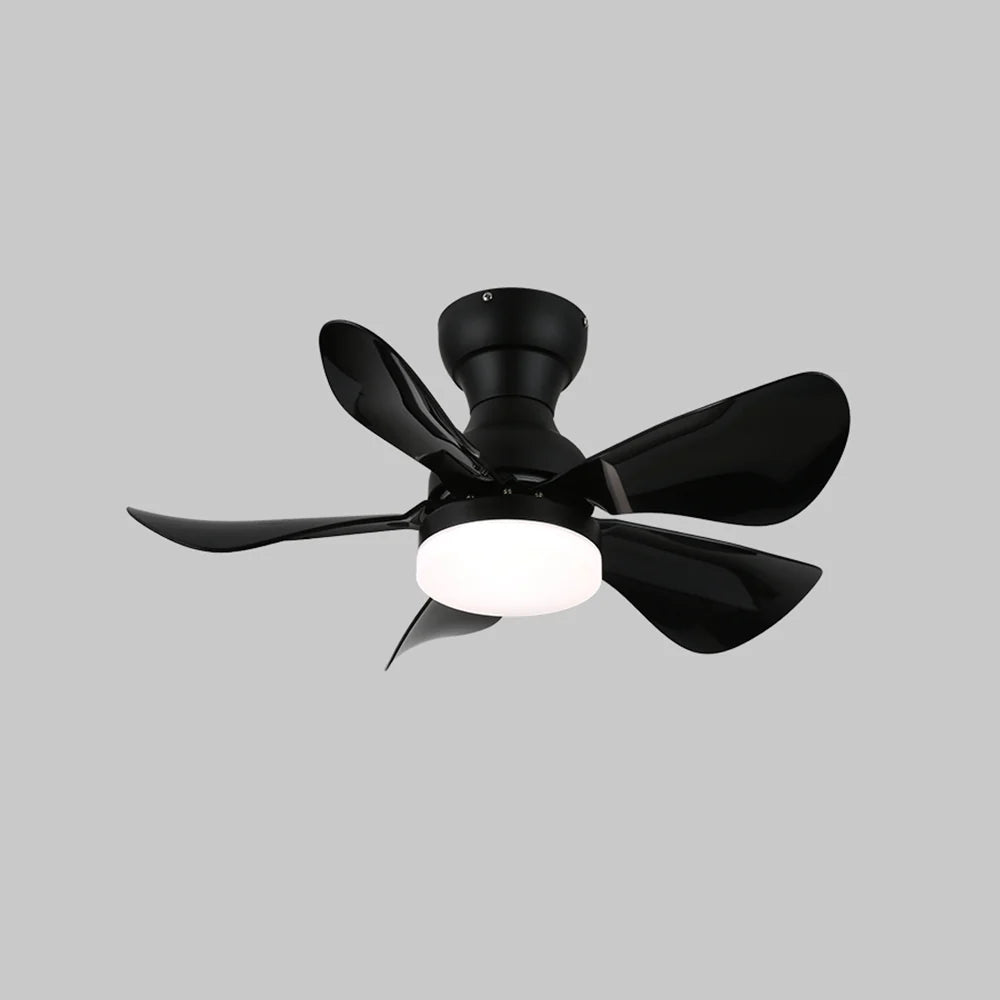 Arilia Small Blade Ceiling Fan Light