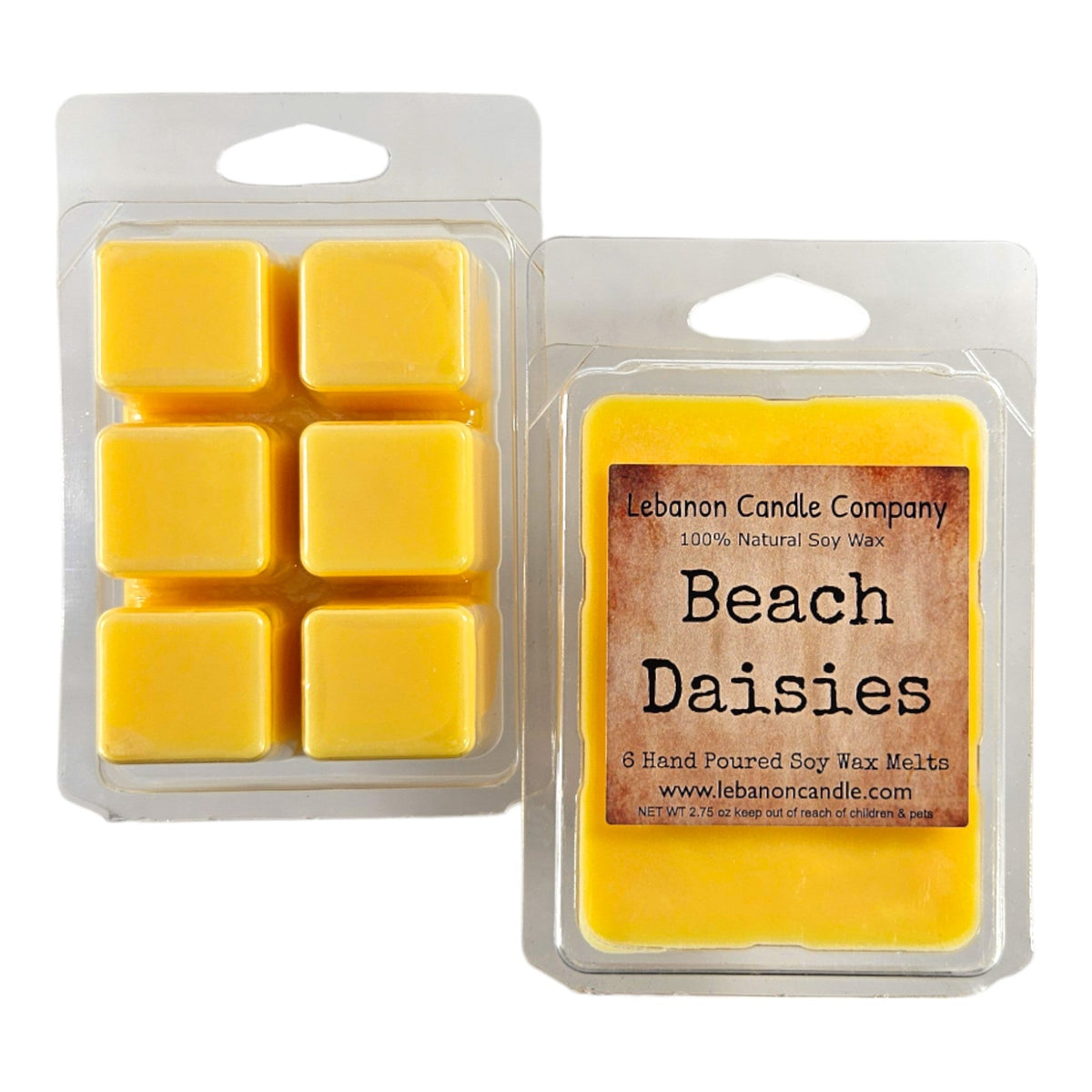 Beach Daisies Wax Melt