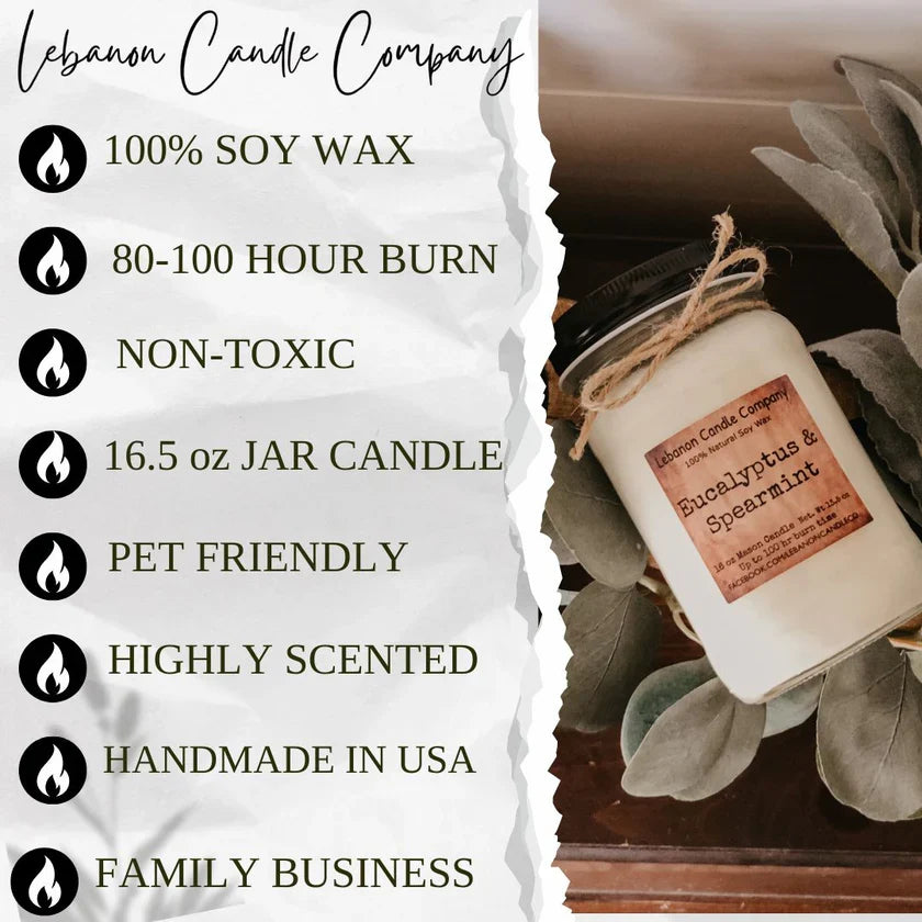 Put a Dish in the Damn Dishwasher Funny Candle