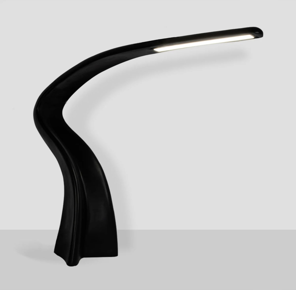 Curve Art Floor Lamp