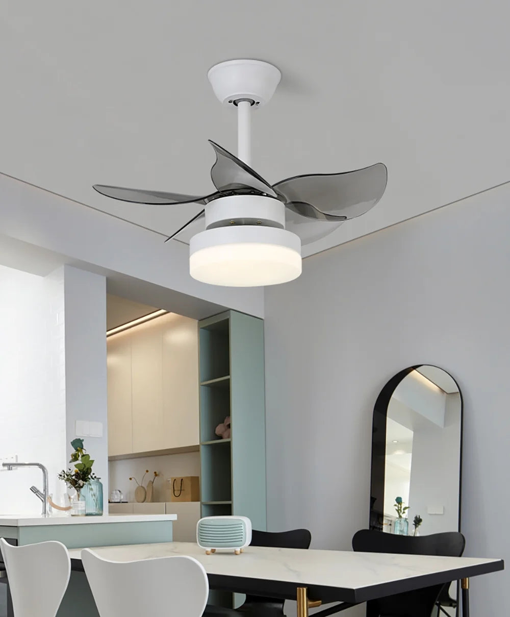 Lighted LED American Ceiling Fan Light