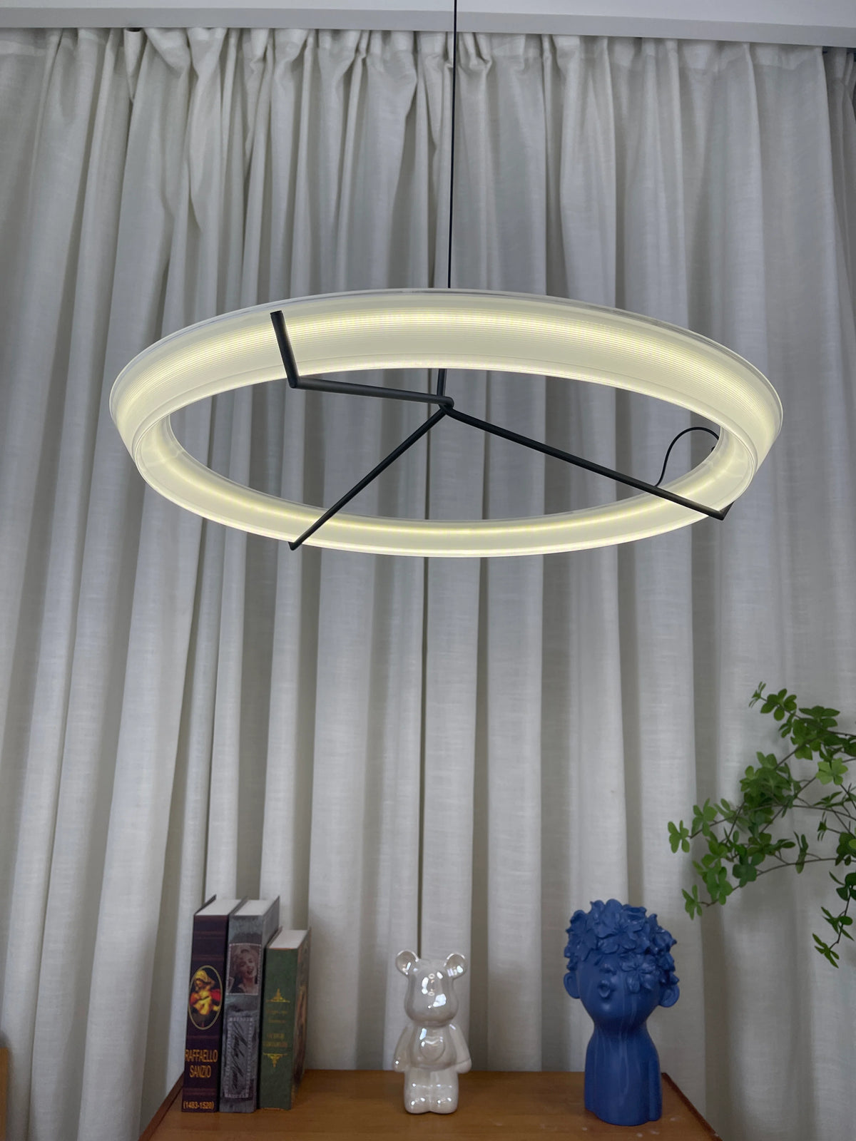 Round Vielle Acrylic Pendant Lamp