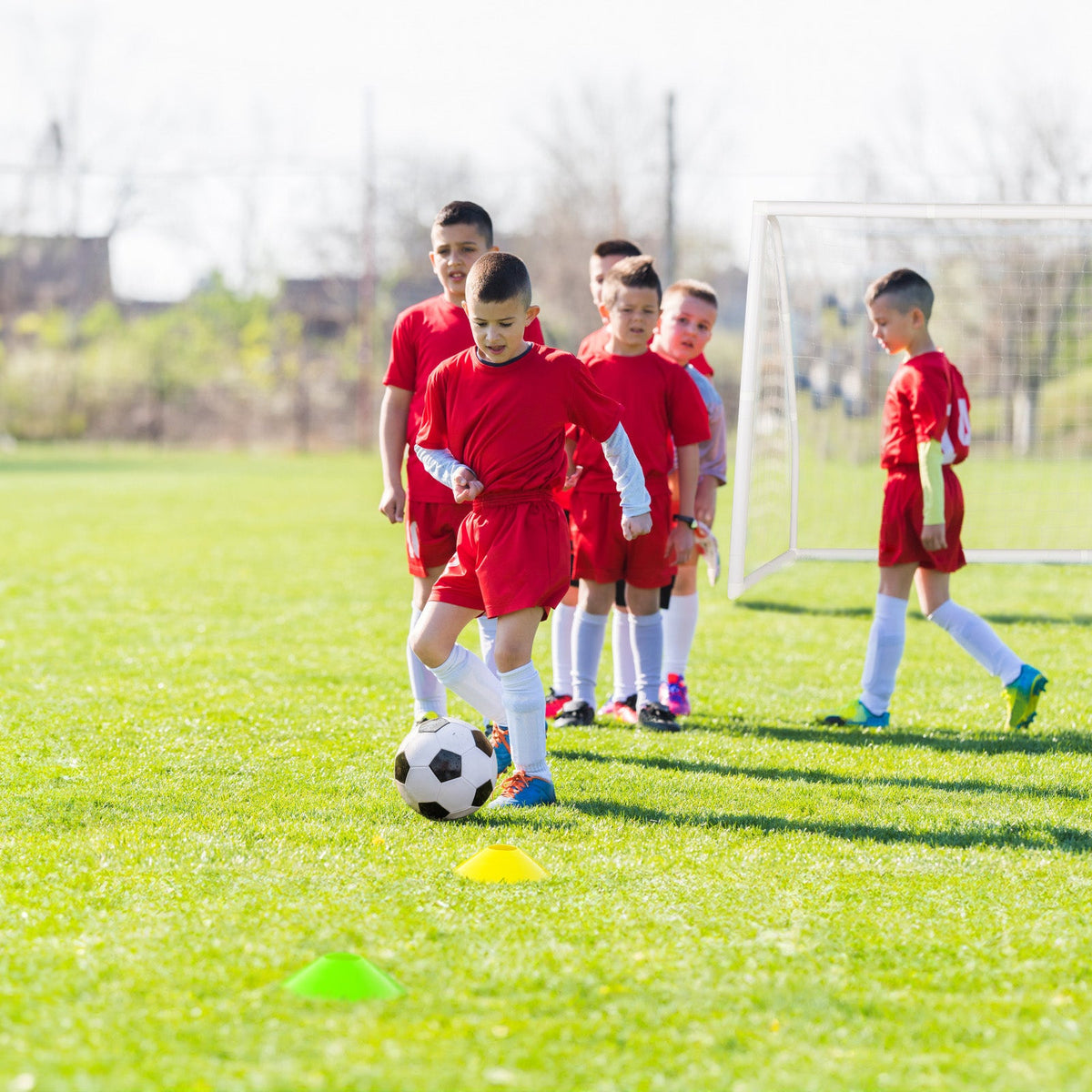 8 × 6 ft Soccer Goal with Net, Ground Stakes & 5 Training Cones