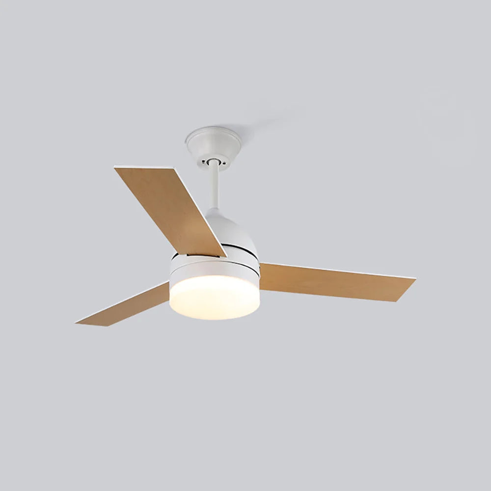 Wood Blade Ceiling Fan Light
