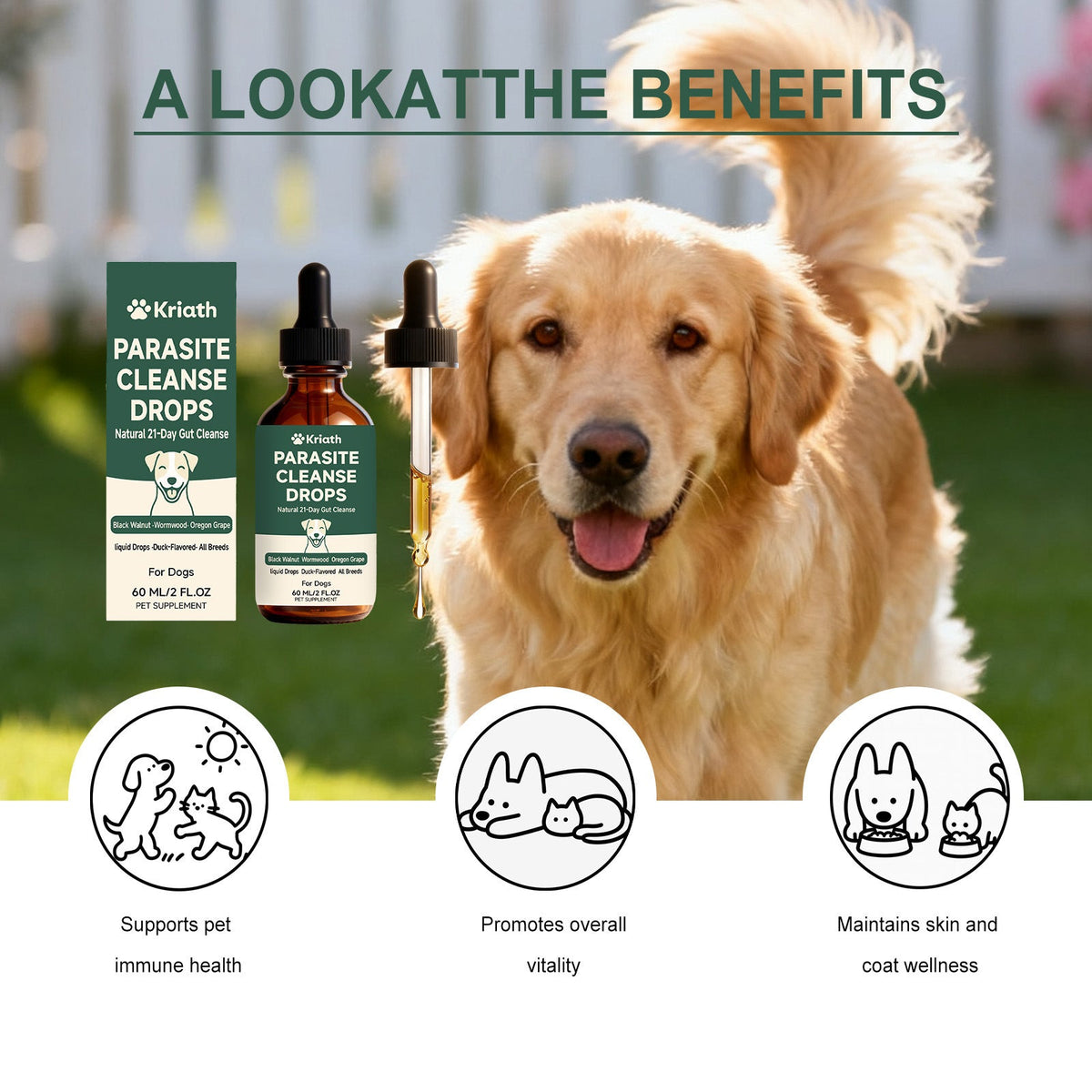 Kriath Dog Intestinal Essential Oil Drops Gentle Formula Comfortable And Nourishing Oral Drops For Pets' Digestive Health