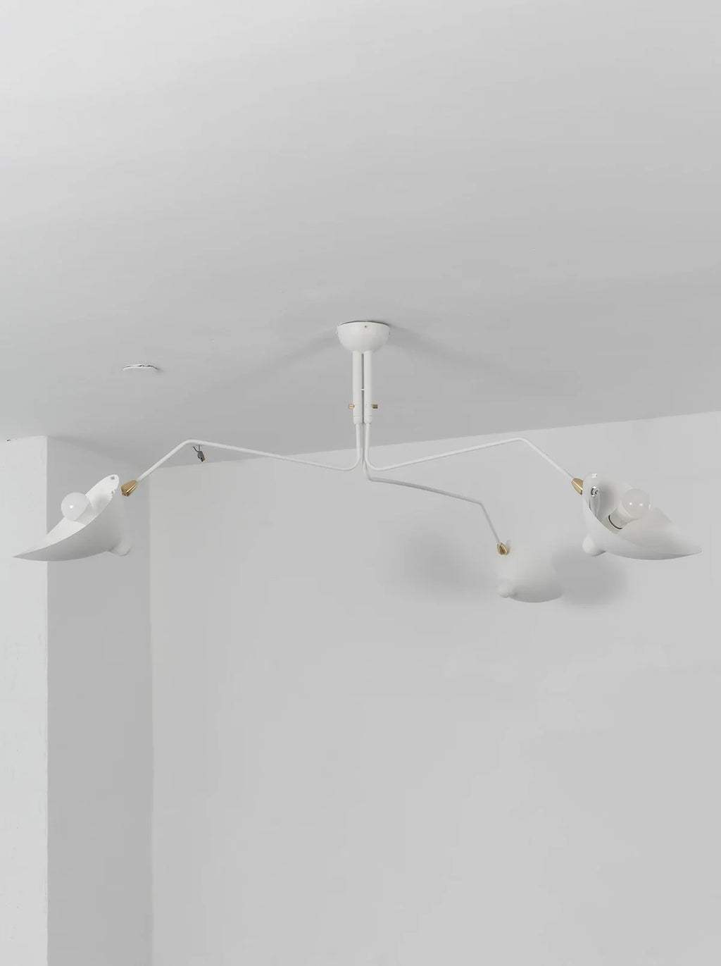 Serge Rotating Arm Ceiling light