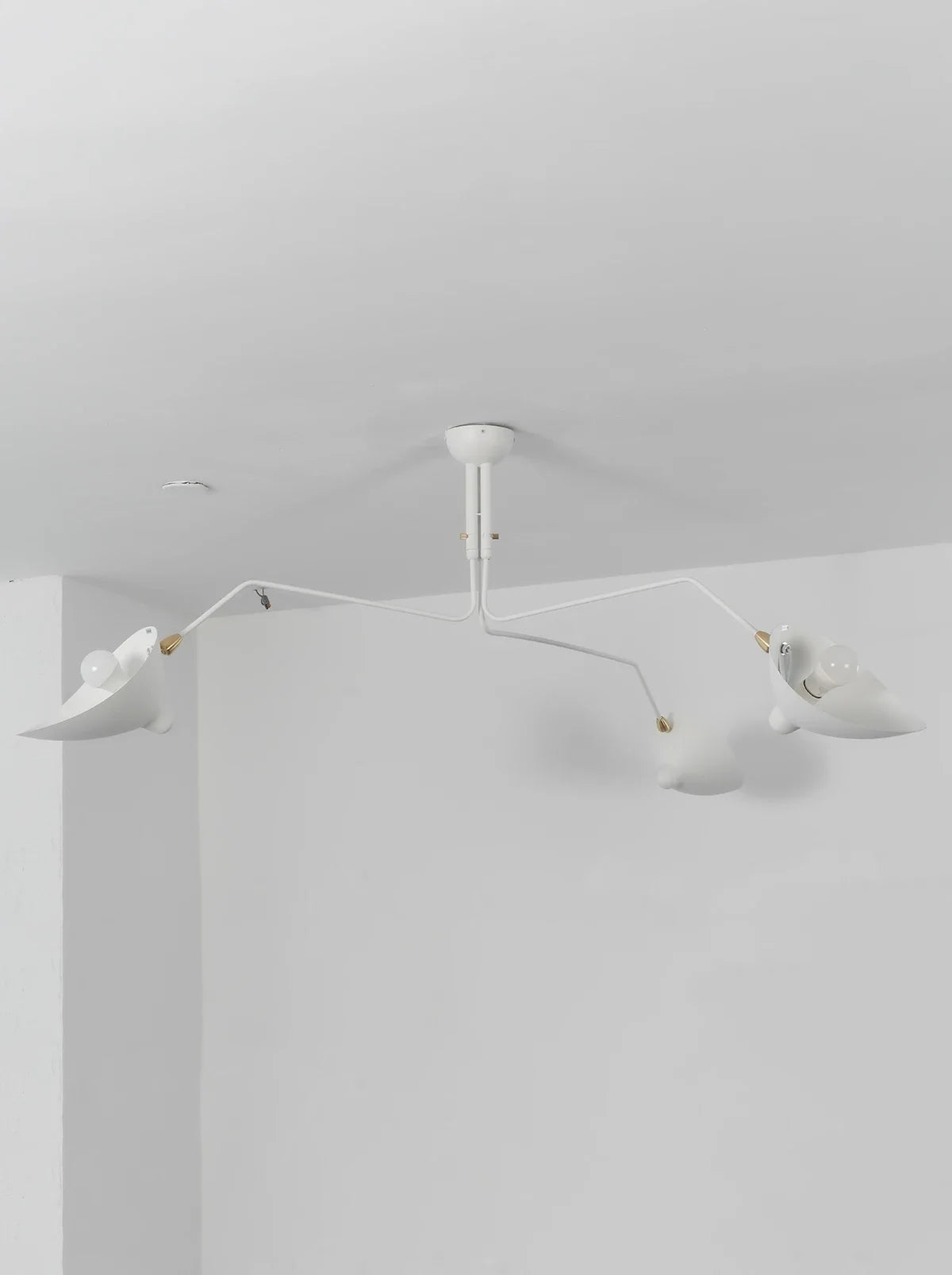 Serge Rotating Arm Ceiling light
